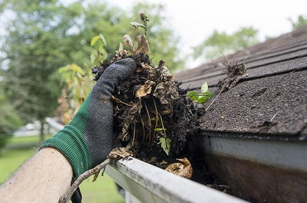 without regular gutter cleaning, you risk water damage, mold growth, and structural damage to your home